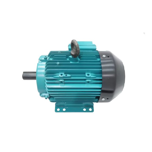 Brook Crompton WP-DA184TS-S2 三相感應(yīng)電動機